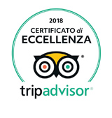 excellence tripadvisor